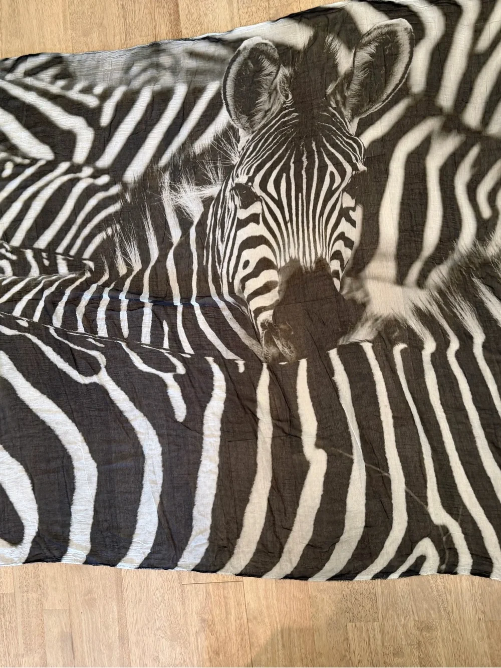 813 Ottotredici Scarf Zebra